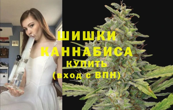 индика Балахна