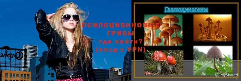 Псилоцибиновые грибы Magic Shrooms  Верхняя Тура 